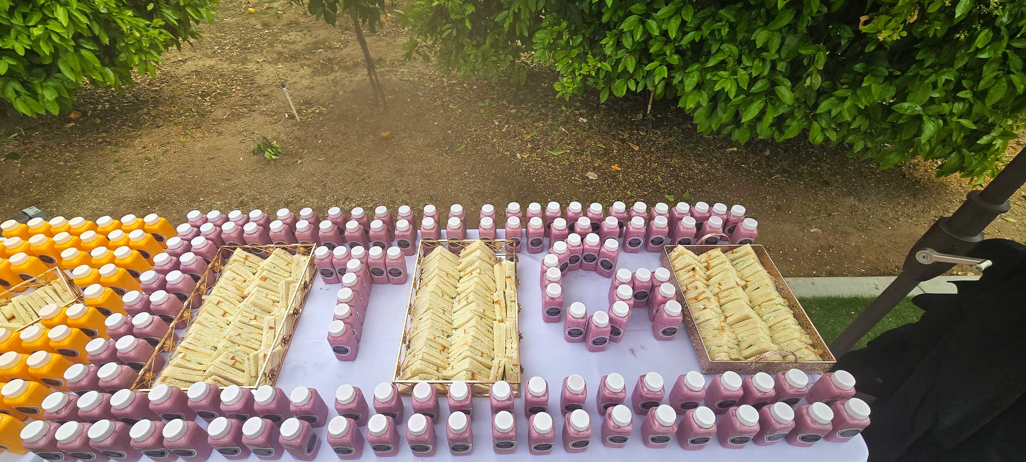 Tandoori Group Indian buffet catering 14