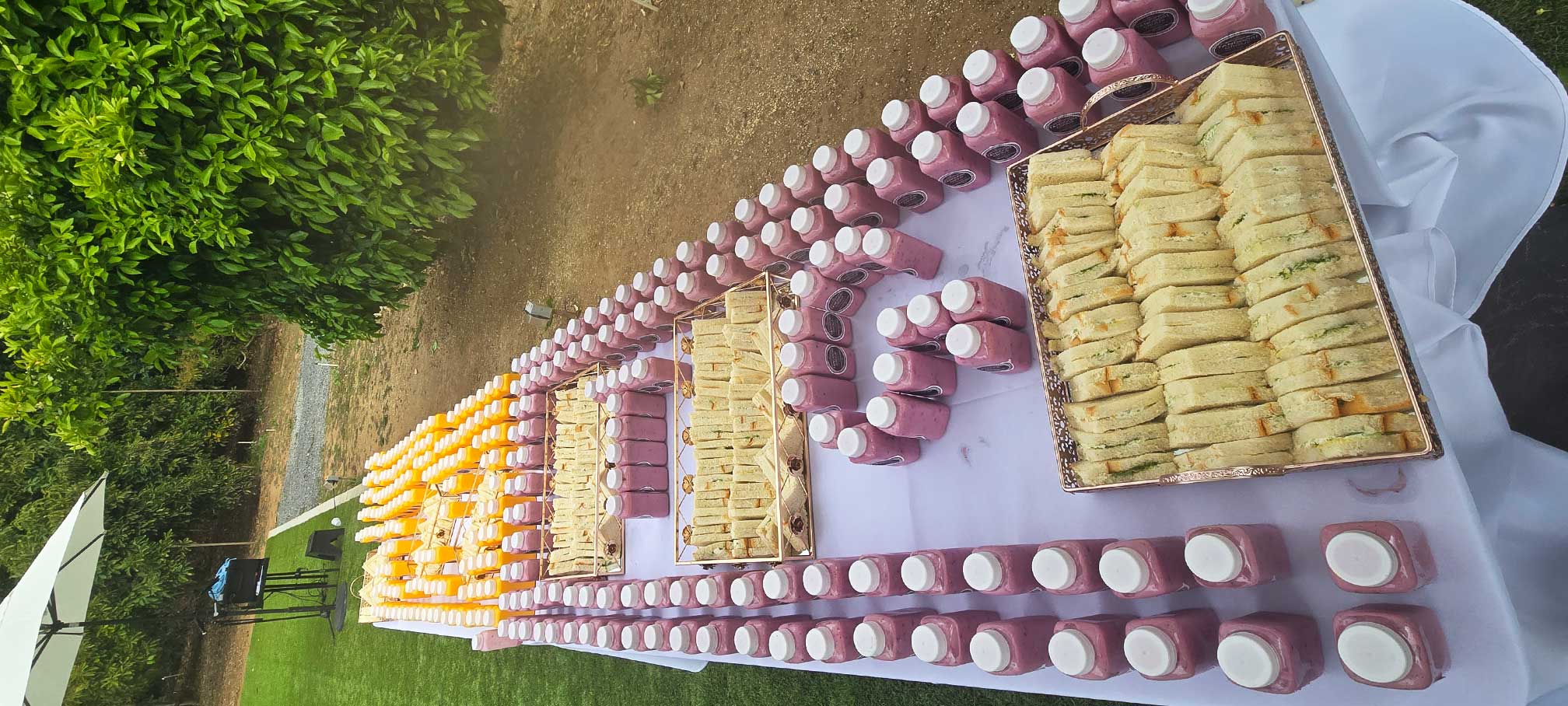 Tandoori Group Indian buffet catering 15