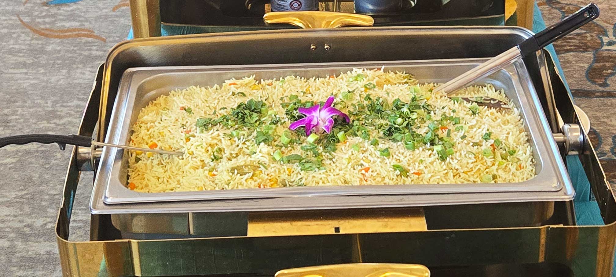 Tandoori Group Indian buffet catering 16